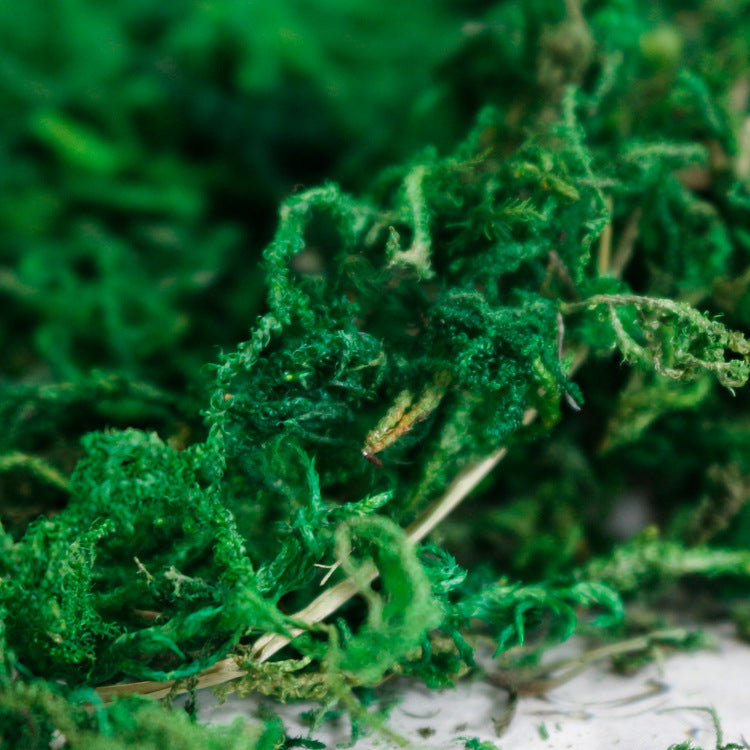 Artificial Moss for Home Room Indoor Outdoor Shelf Decor - Image 2