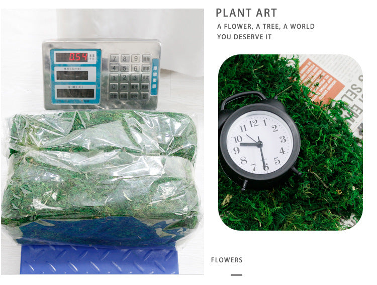 Artificial Moss for Home Room Indoor Outdoor Shelf Decor - Image 6