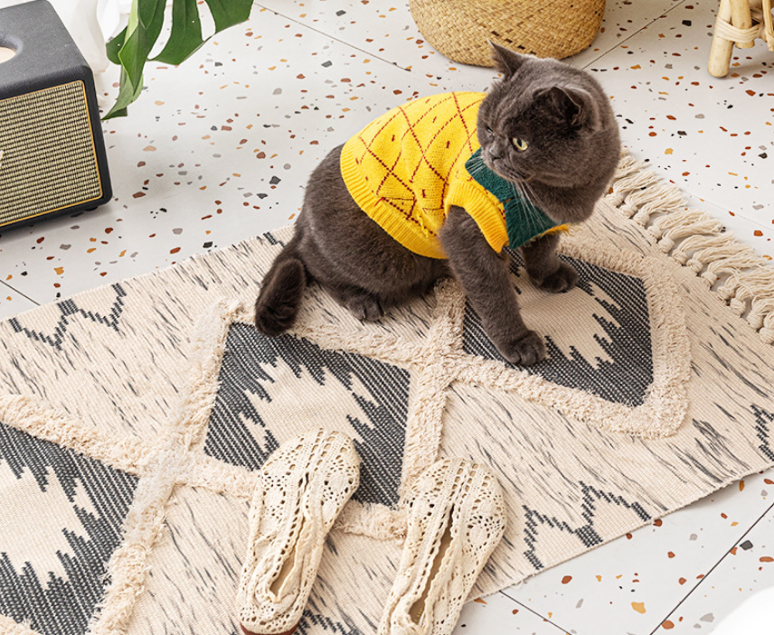 Retro Moroccan Geometric Pattern Cotton and Linen Area Rug with Tassel Handwoven Floor Carpet Rug for Living Room Bedroom 25 - Image 3