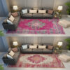 Pink Red Traditional Patterned Area Vintage Rugs for the Living Room Bedroom