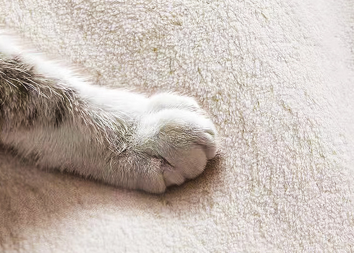 Vintage Yellow Flowers Faux Cashmere Rugs For Living Room Bedroom Bedside Rugs Anti-slip Foot Mats - Image 4