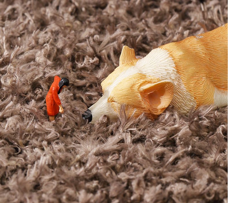 Minimalist Solid Colours Living Room Bedroom Plush Rugs Sofa Coffee Table Rugs Children's Room Window Mats 04 - Image 4