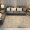 Traditional Floral Plush Vintage Rugs for Living Room Bedroom Hall Office