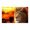 Modern Lion Animal Rugs for the Living Room Hall