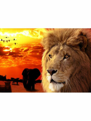 Modern Lion Animal Rugs for the Living Room Hall