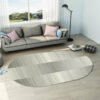 Modern Simple Oval Rug for Kitchen Living Room Hall Bedroom