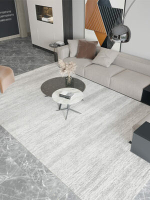 Modern Light Grey Simplicity Area Rugs Floormat for Living Room Bedroom Office Hall