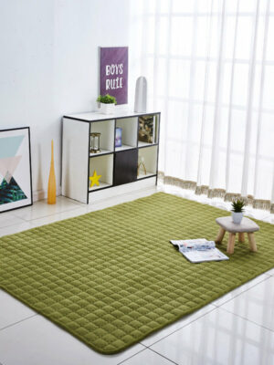 Green Thickened Rugs Coral Fleece Carpets for Living Room Bedroom Bedside Entrance